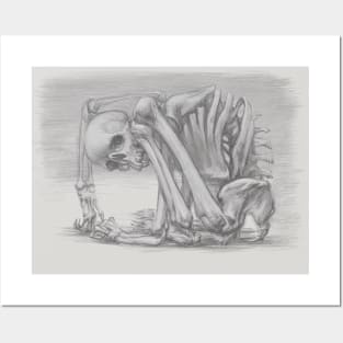 Detailed Human Skeleton Pencil Sketch - Anatomy Art Print Posters and Art